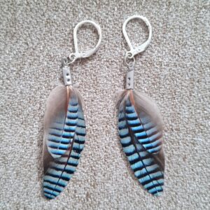 Blue Jay Feather Earrings